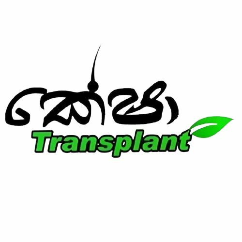 keshatransplant.com